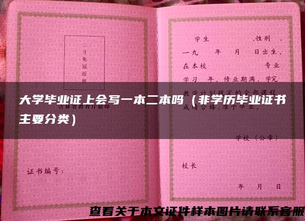 大学毕业证上会写一本二本吗（非学历毕业证书主要分类）