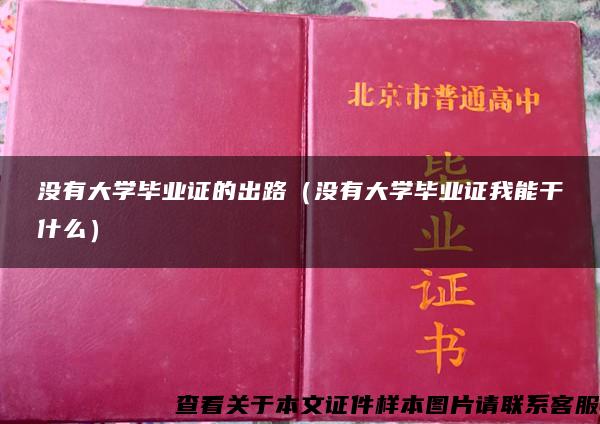 没有大学毕业证的出路（没有大学毕业证我能干什么）