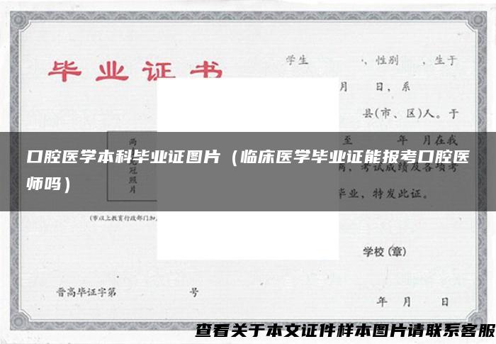 口腔医学本科毕业证图片（临床医学毕业证能报考口腔医师吗）