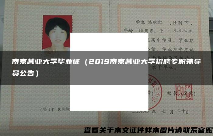 南京林业大学毕业证（2019南京林业大学招聘专职辅导员公告）