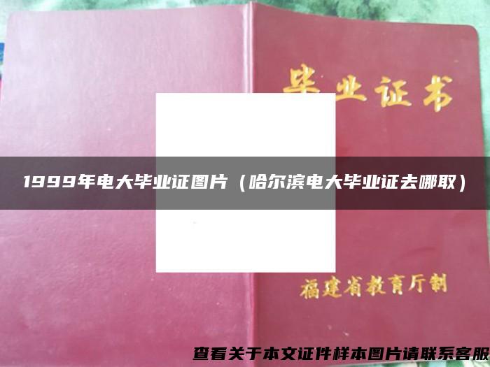 1999年电大毕业证图片（哈尔滨电大毕业证去哪取）