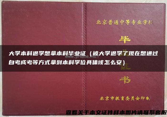 大学本科退学想拿本科毕业证（被大学退学了现在想通过自考成考等方式拿到本科学位具体该怎么安）