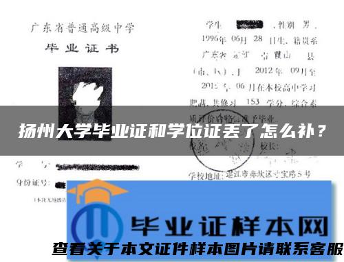 扬州大学毕业证和学位证丢了怎么补？