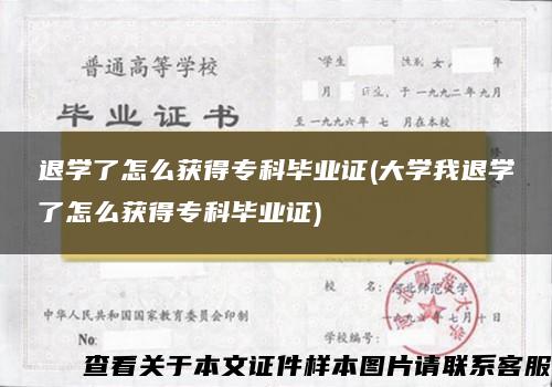 退学了怎么获得专科毕业证(大学我退学了怎么获得专科毕业证)