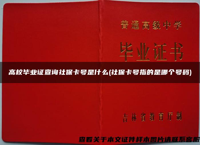 高校毕业证查询社保卡号是什么(社保卡号指的是哪个号码)