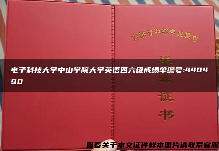 电子科技大学中山学院大学英语四六级成绩单编号:440490