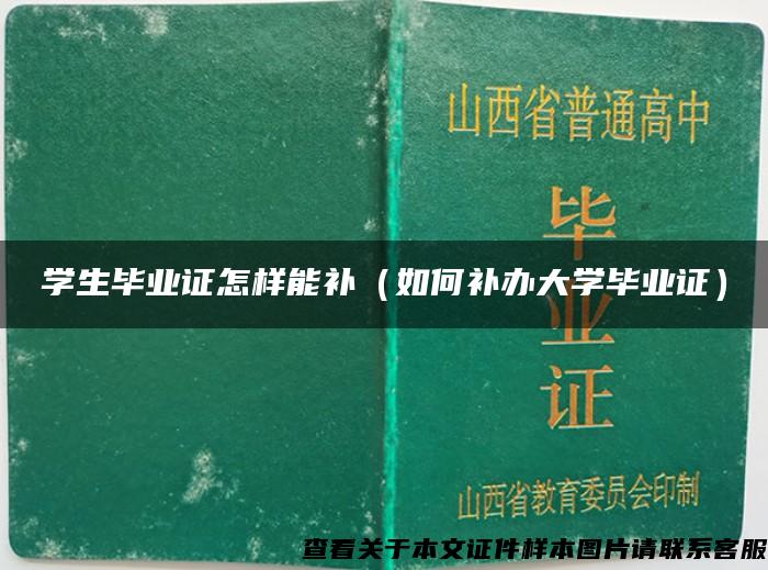 学生毕业证怎样能补（如何补办大学毕业证）