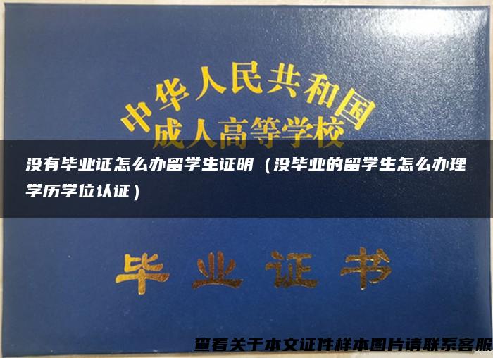 没有毕业证怎么办留学生证明（没毕业的留学生怎么办理学历学位认证）