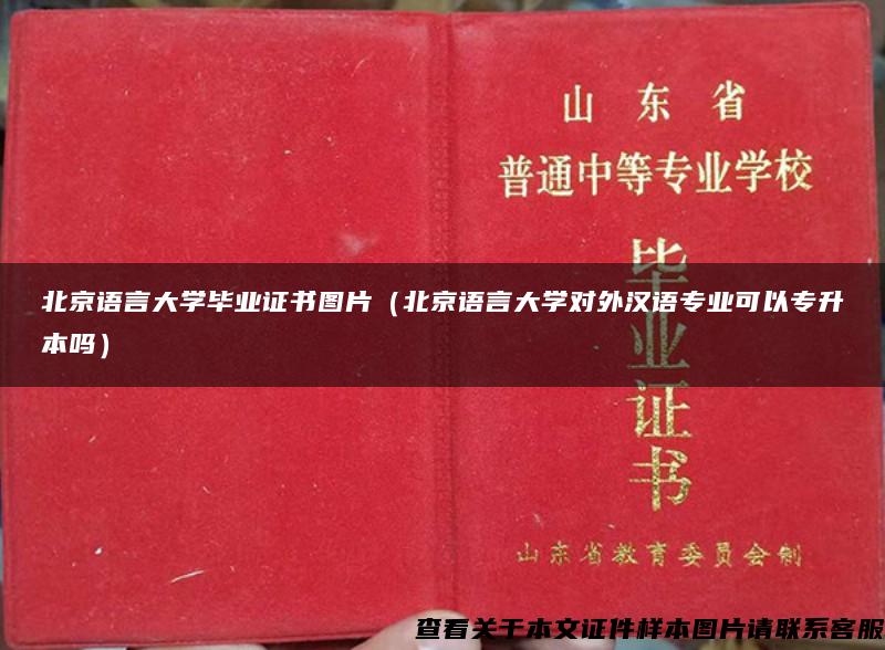 北京语言大学毕业证书图片（北京语言大学对外汉语专业可以专升本吗）