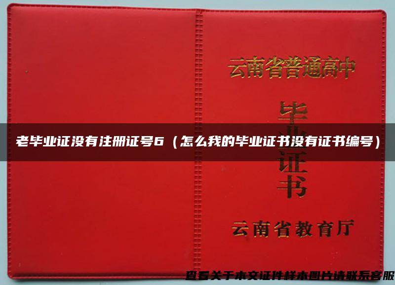 老毕业证没有注册证号6（怎么我的毕业证书没有证书编号）