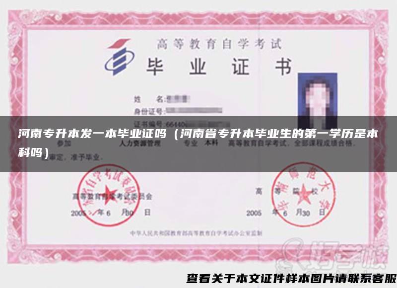 河南专升本发一本毕业证吗（河南省专升本毕业生的第一学历是本科吗）