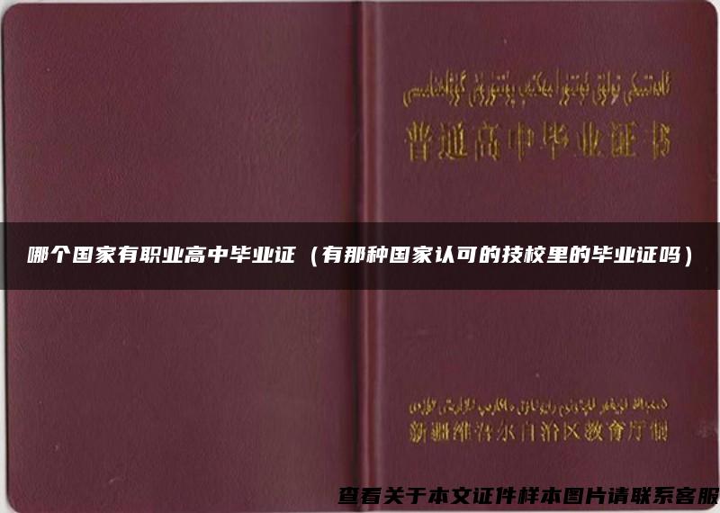 哪个国家有职业高中毕业证（有那种国家认可的技校里的毕业证吗）