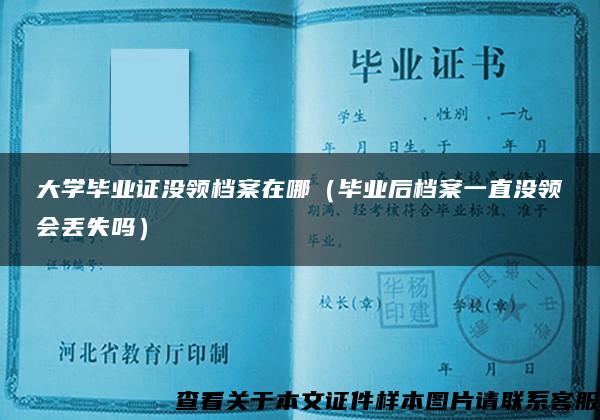 大学毕业证没领档案在哪（毕业后档案一直没领会丢失吗）