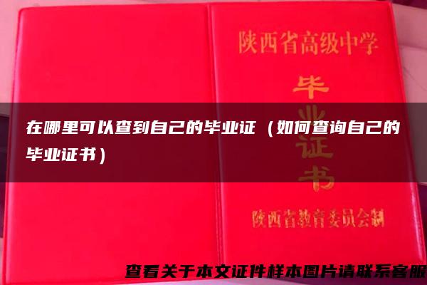 在哪里可以查到自己的毕业证（如何查询自己的毕业证书）