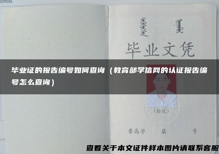 毕业证的报告编号如何查询（教育部学信网的认证报告编号怎么查询）