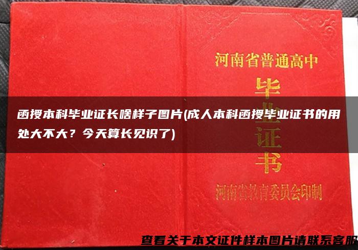 函授本科毕业证长啥样子图片(成人本科函授毕业证书的用处大不大？今天算长见识了)