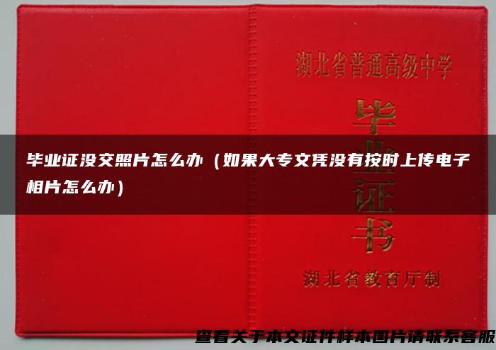 毕业证没交照片怎么办（如果大专文凭没有按时上传电子相片怎么办）