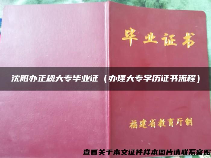 沈阳办正规大专毕业证（办理大专学历证书流程）