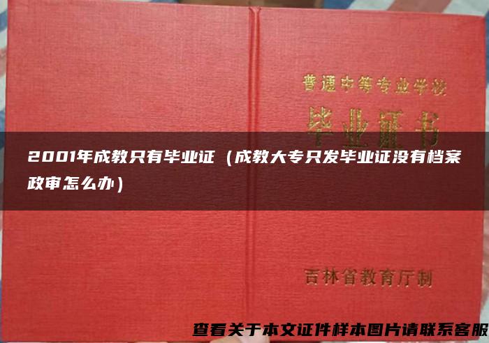 2001年成教只有毕业证（成教大专只发毕业证没有档案政审怎么办）