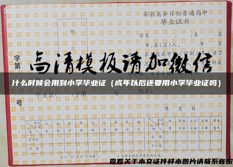 什么时候会用到小学毕业证（成年以后还要用小学毕业证吗）