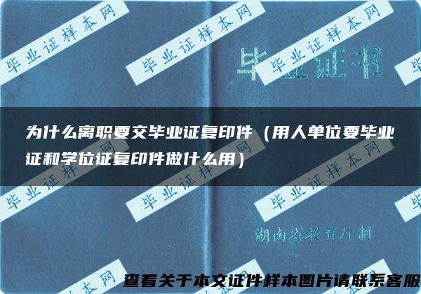 为什么离职要交毕业证复印件（用人单位要毕业证和学位证复印件做什么用）