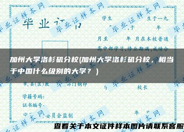 加州大学洛杉矶分校(加州大学洛杉矶分校，相当于中国什么级别的大学？）