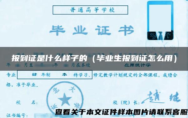 报到证是什么样子的（毕业生报到证怎么用）