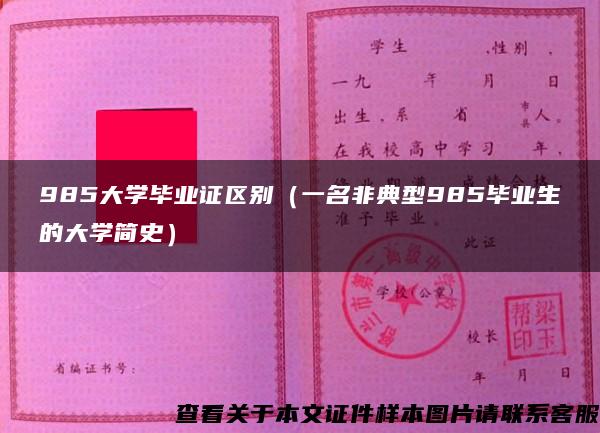 985大学毕业证区别（一名非典型985毕业生的大学简史）