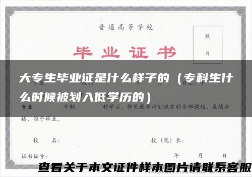 大专生毕业证是什么样子的（专科生什么时候被划入低学历的）