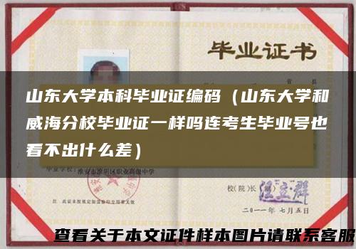 山东大学本科毕业证编码（山东大学和威海分校毕业证一样吗连考生毕业号也看不出什么差）