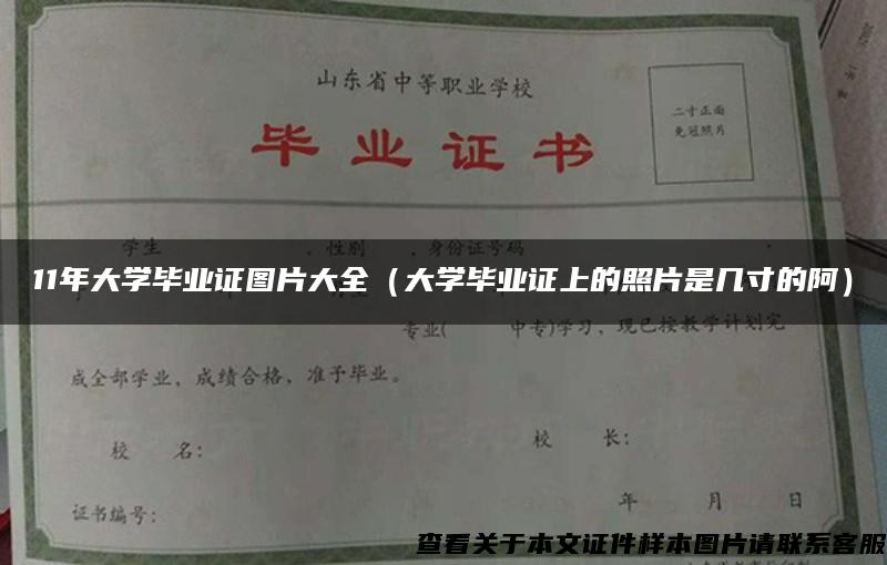 11年大学毕业证图片大全（大学毕业证上的照片是几寸的阿）