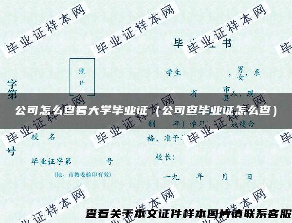 公司怎么查看大学毕业证（公司查毕业证怎么查）