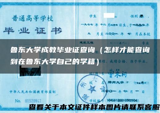 鲁东大学成教毕业证查询（怎样才能查询到在鲁东大学自己的学籍）