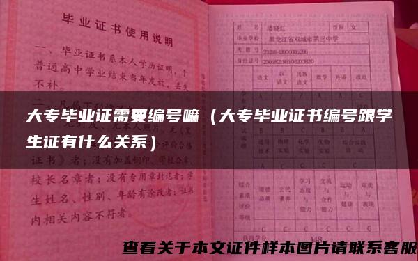 大专毕业证需要编号嘛（大专毕业证书编号跟学生证有什么关系）