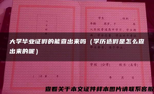 大学毕业证假的能查出来吗（学历造假是怎么查出来的呢）