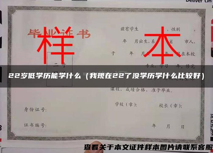 22岁低学历能学什么（我现在22了没学历学什么比较好）