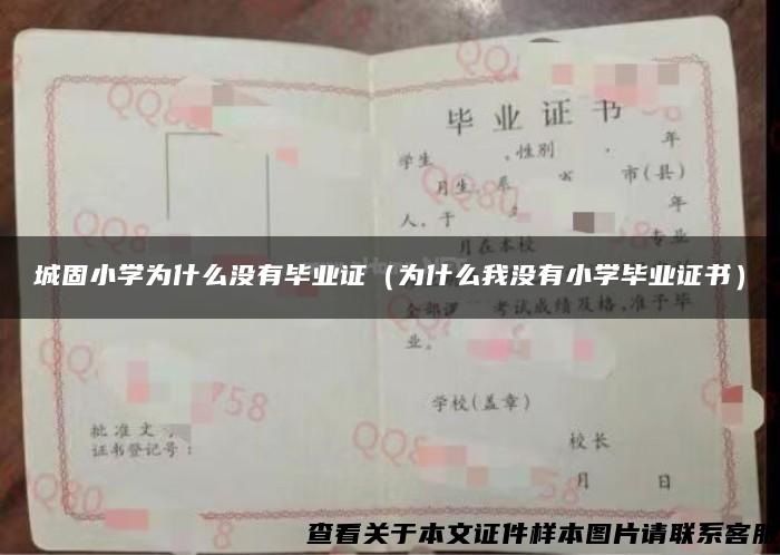 城固小学为什么没有毕业证（为什么我没有小学毕业证书）