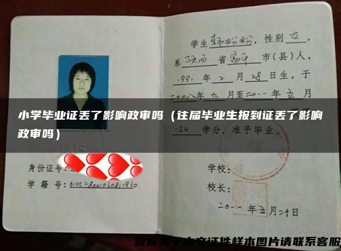 小学毕业证丢了影响政审吗（往届毕业生报到证丢了影响政审吗）