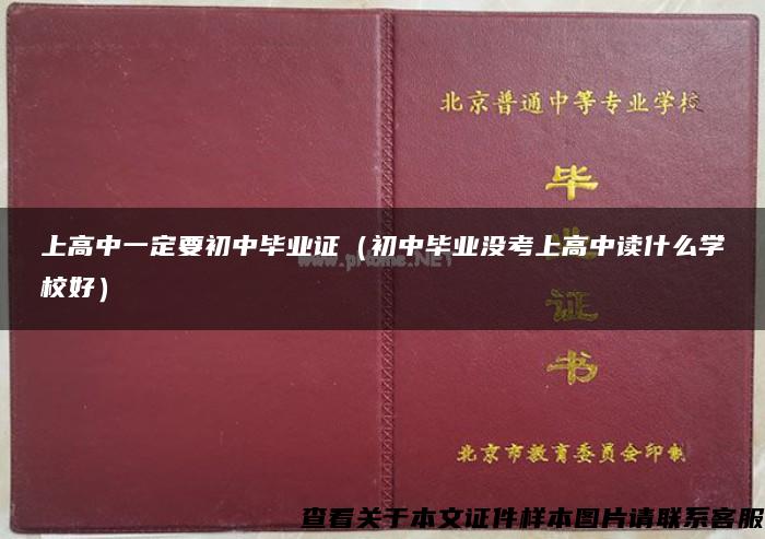 上高中一定要初中毕业证（初中毕业没考上高中读什么学校好）