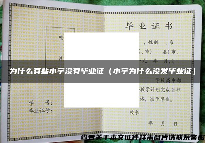 为什么有些小学没有毕业证（小学为什么没发毕业证）