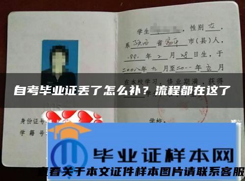 自考毕业证丢了怎么补？流程都在这了