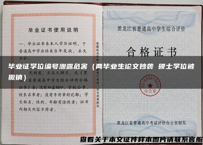 毕业证学位编号泄露危害（两毕业生论文抄袭 硕士学位被撤销）