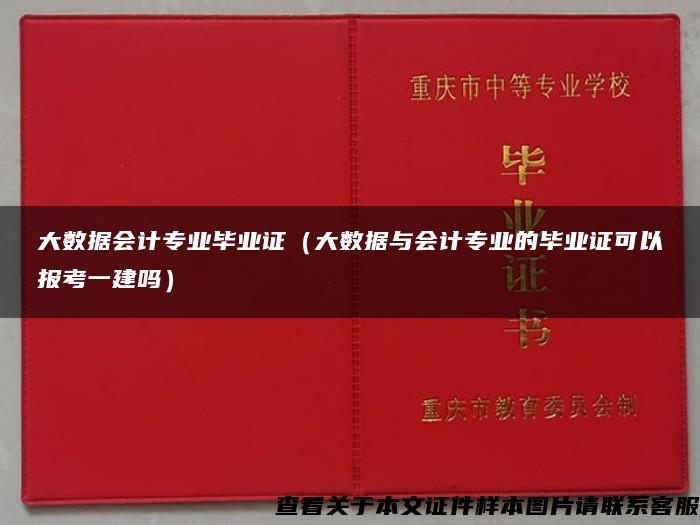 大数据会计专业毕业证（大数据与会计专业的毕业证可以报考一建吗）