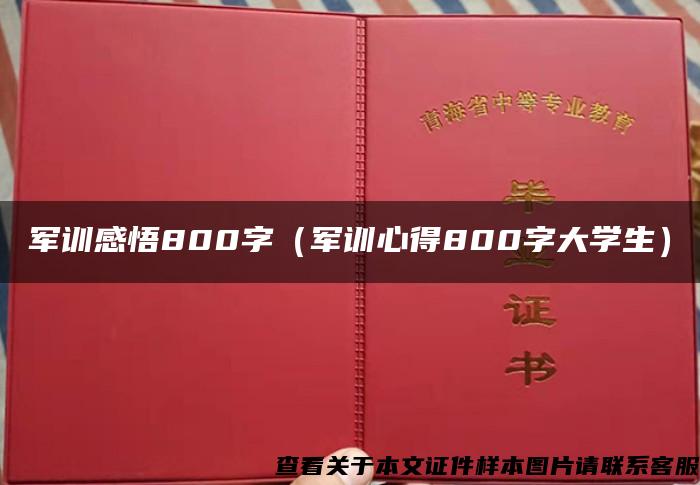 军训感悟800字（军训心得800字大学生）