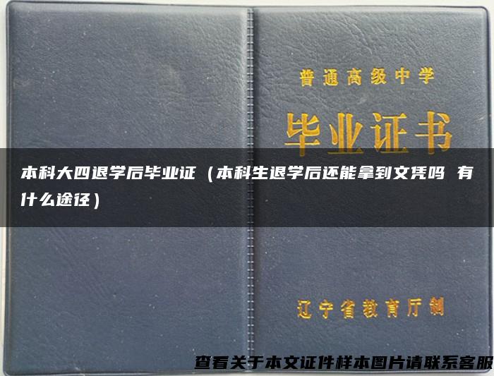 本科大四退学后毕业证（本科生退学后还能拿到文凭吗 有什么途径）