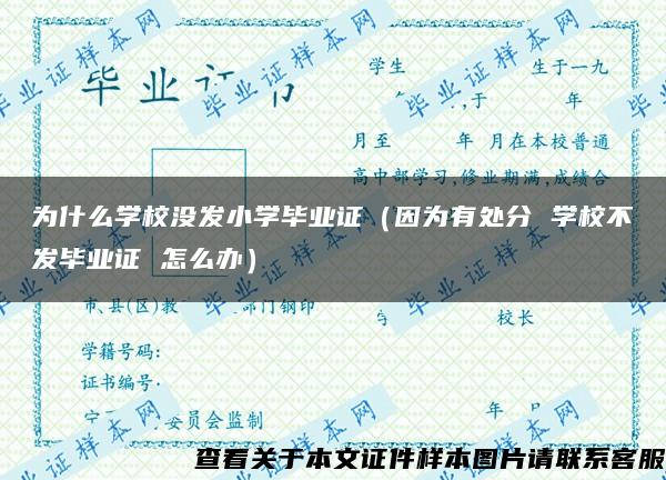 为什么学校没发小学毕业证（因为有处分 学校不发毕业证 怎么办）