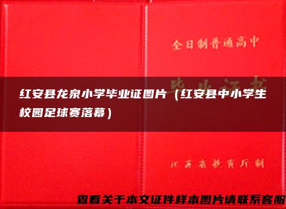 红安县龙泉小学毕业证图片（红安县中小学生校园足球赛落幕）