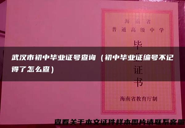 武汉市初中毕业证号查询（初中毕业证编号不记得了怎么查）