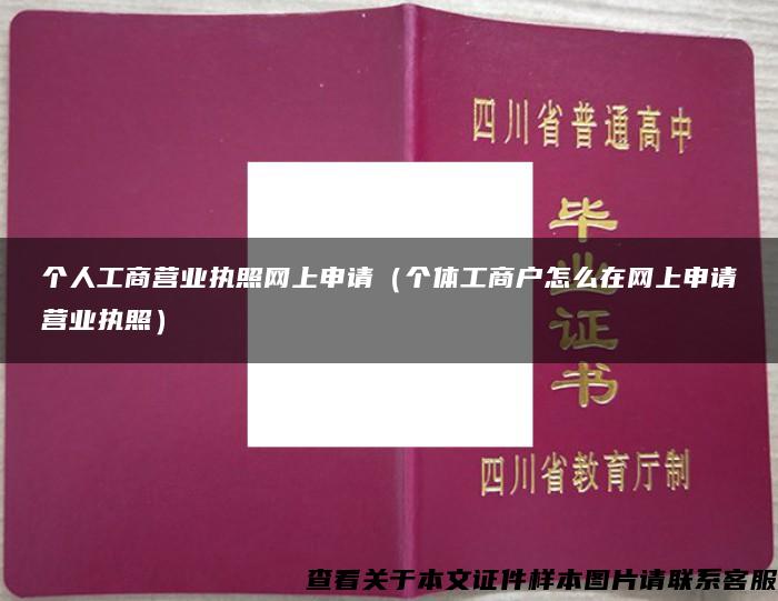 个人工商营业执照网上申请（个体工商户怎么在网上申请营业执照）