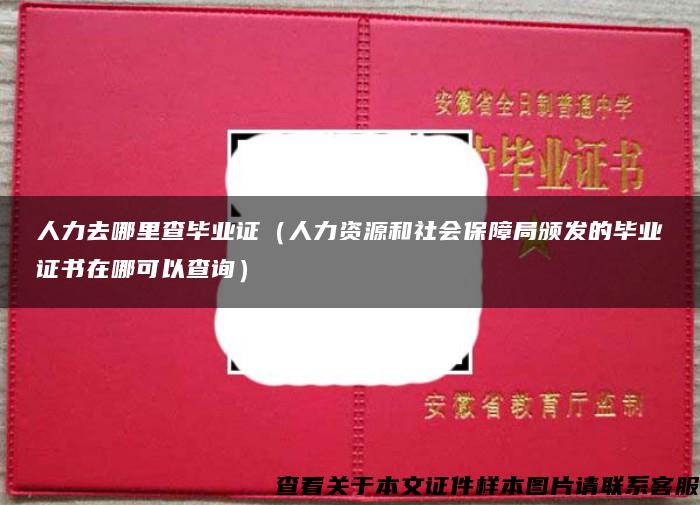 人力去哪里查毕业证（人力资源和社会保障局颁发的毕业证书在哪可以查询）